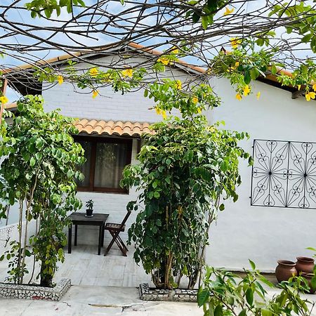 Casa Tua Pipa Apartment Praia de Pipa Екстериор снимка