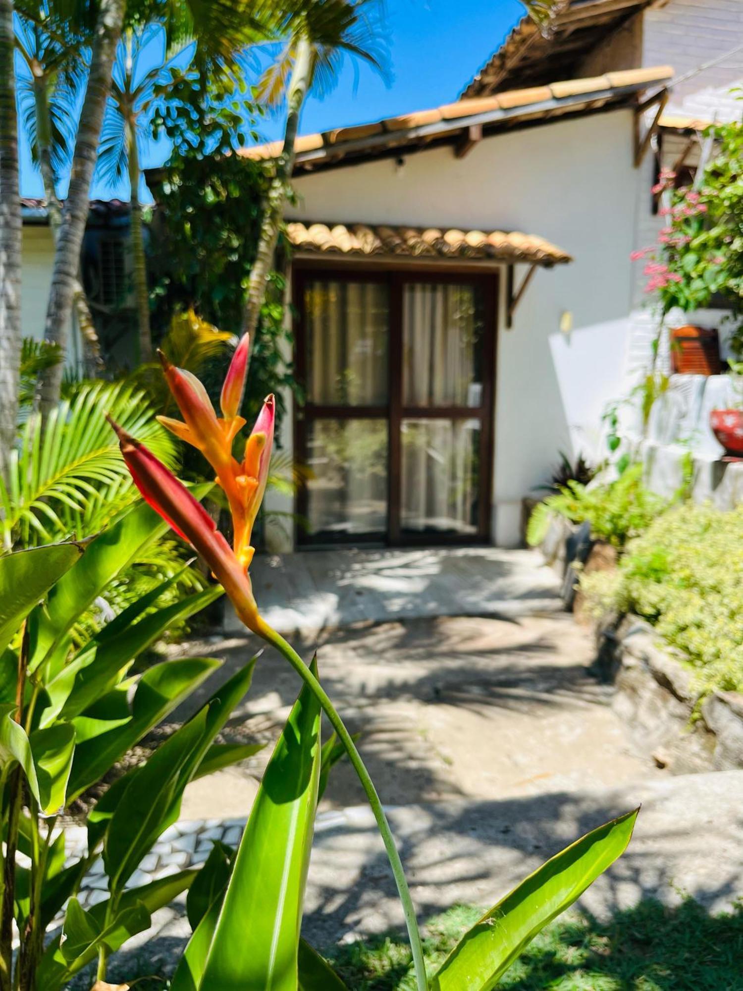 Casa Tua Pipa Apartment Praia de Pipa Екстериор снимка