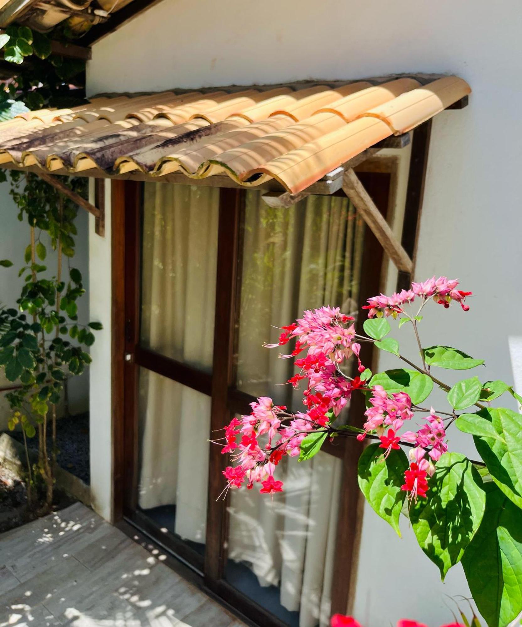 Casa Tua Pipa Apartment Praia de Pipa Екстериор снимка